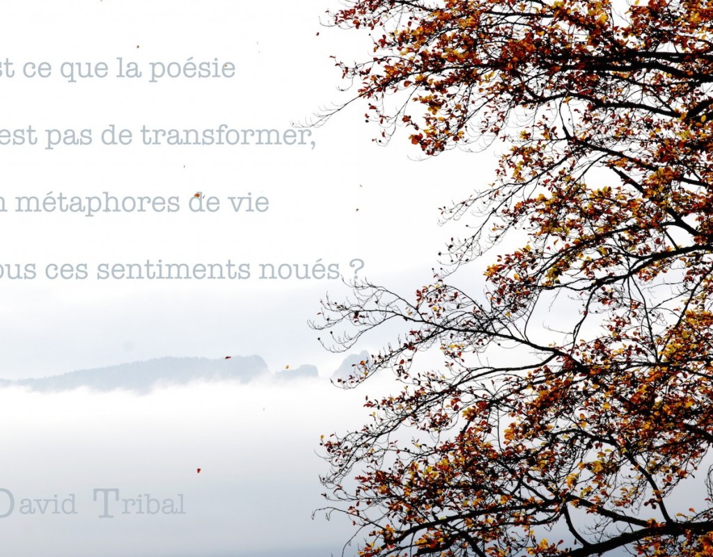 DavidTribal-IMG_0644_luz-texte_1400